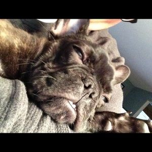 Meet your Posher, Keith